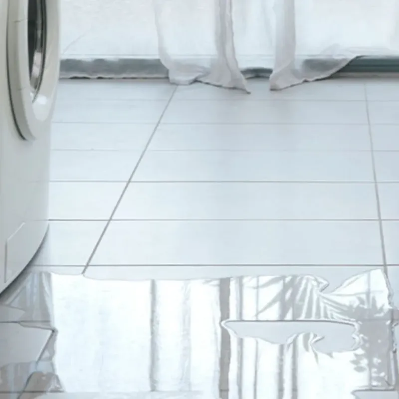 Appliance Leak Cleanup in Lincoln Village, OH