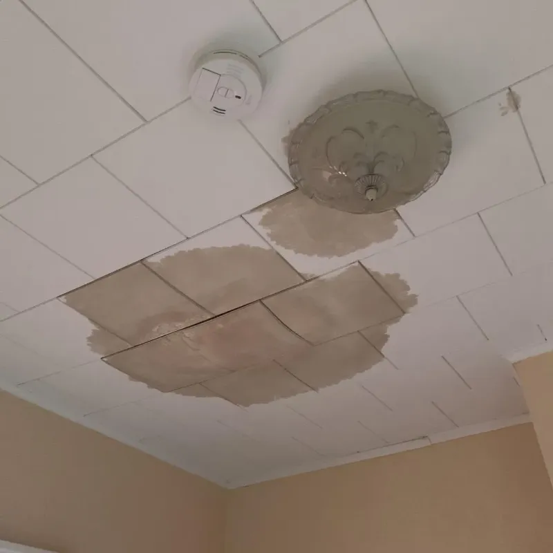 Ceiling Water Damage Repair in Lincoln Village, OH