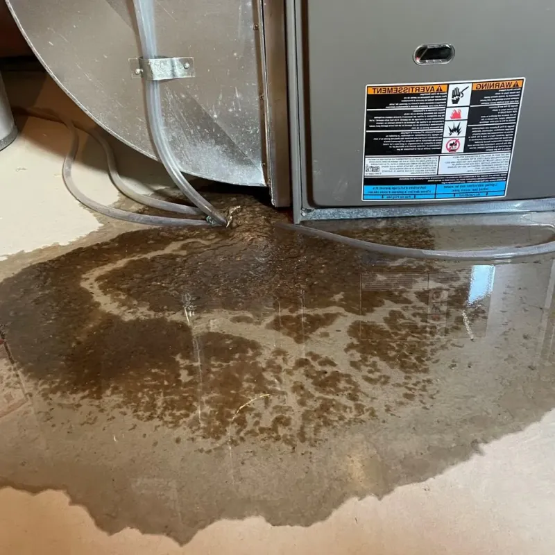 Pipe Burst and Leak Restoration in Lincoln Village, OH